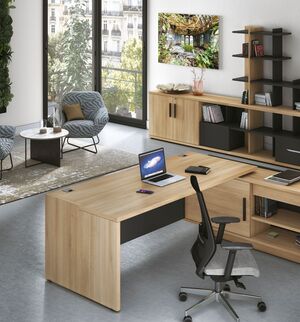 GAUTIER Office | Collection BRABANT